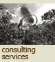 consulting services