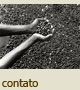 contato