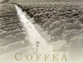 Coffea